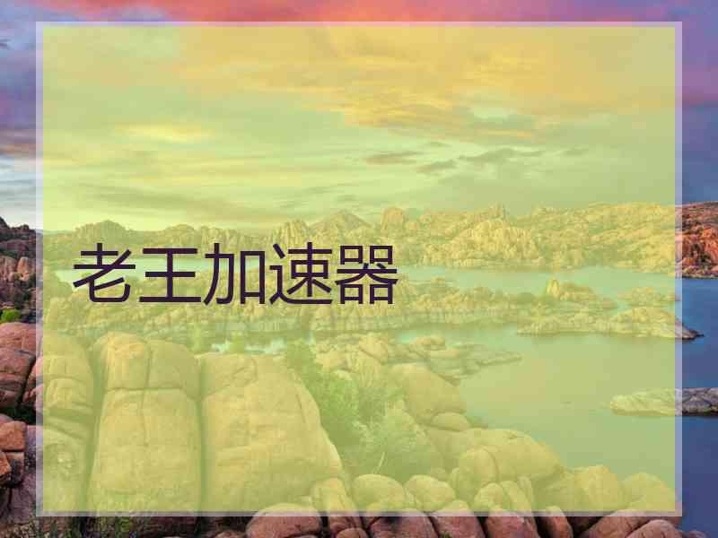 老王加速器